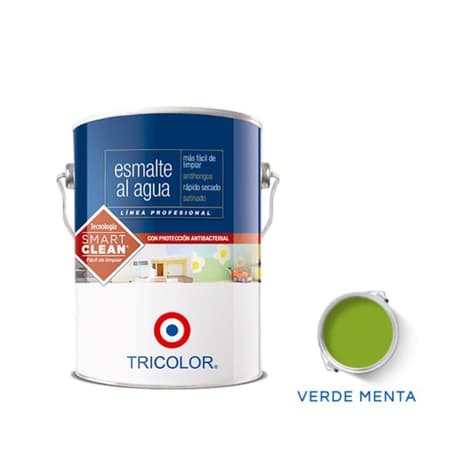 Esmalte al agua Profesional 1 Gl (3.78lt) Verde Menta 